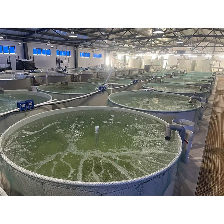 Modern Aquaculture Facility with RAS Systems